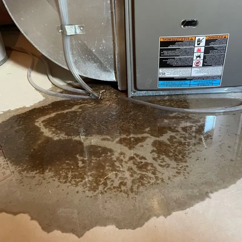Pipe Burst and Leak Restoration in Fox Point, WI